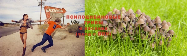 дистиллят марихуана Медногорск